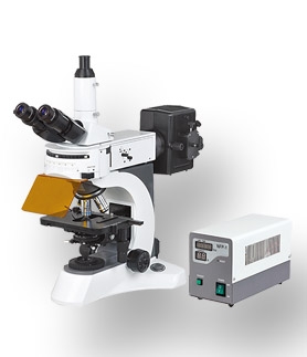 永新N-800F 實驗室熒光顯微鏡